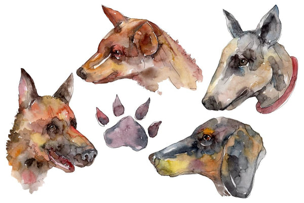 Farm animals dog head Watercolor png Flower