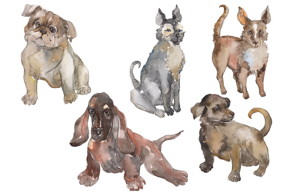 Farm animals: dogs Watercolor png Flower