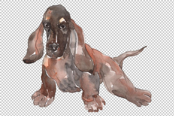 Farm animals: dogs Watercolor png Flower