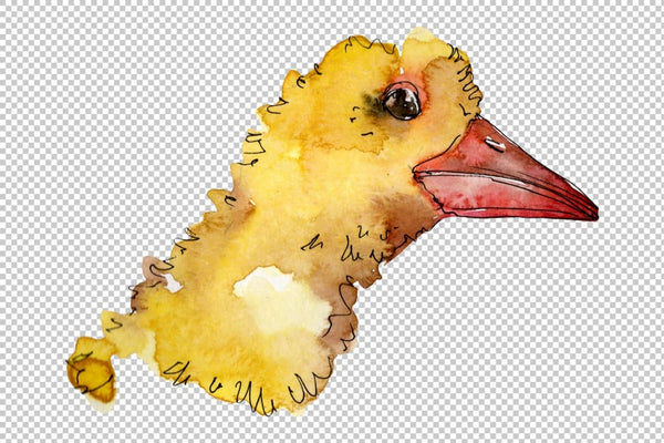 Farm animals: duck head Watercolor png Flower