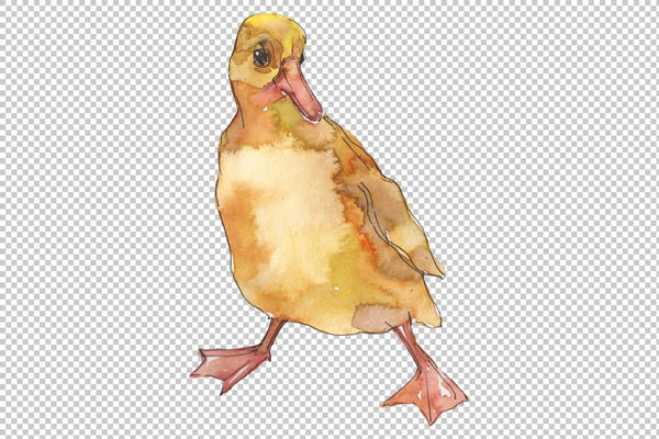 Farm animals: ducklings Watercolor png Flower