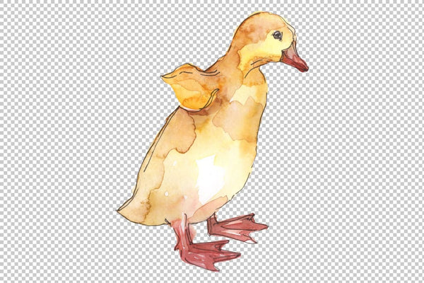 Farm animals: ducklings Watercolor png Flower