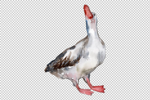 Farm animals: geese Watercolor png Flower