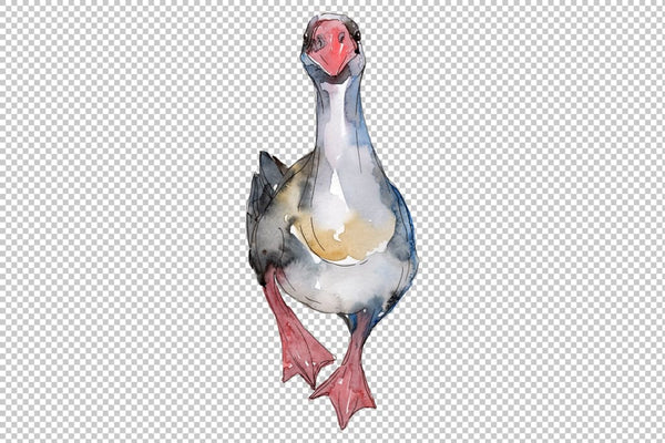 Farm animals: geese Watercolor png Flower