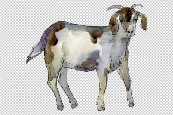 Farm animals: goat Watercolor png Flower