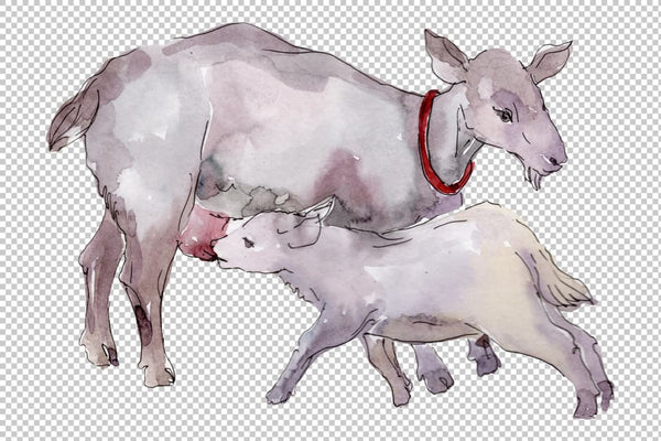 Farm animals: goat Watercolor png Flower