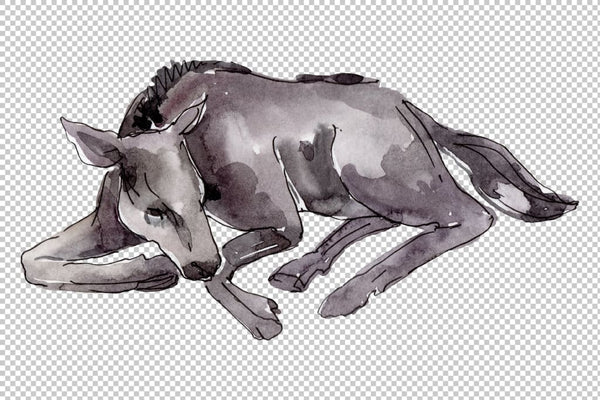 Farm animals: Horse foal Watercolor png Flower