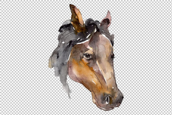 Farm animals: horse head Watercolor png Flower