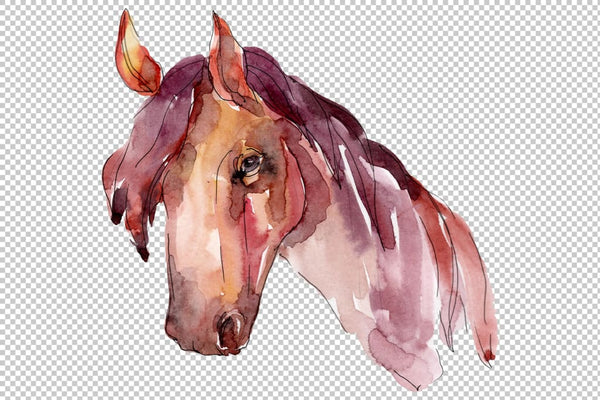 Farm animals: horse head Watercolor png Flower