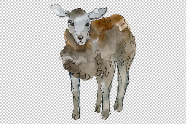 Farm animals: lamb Watercolor png Flower