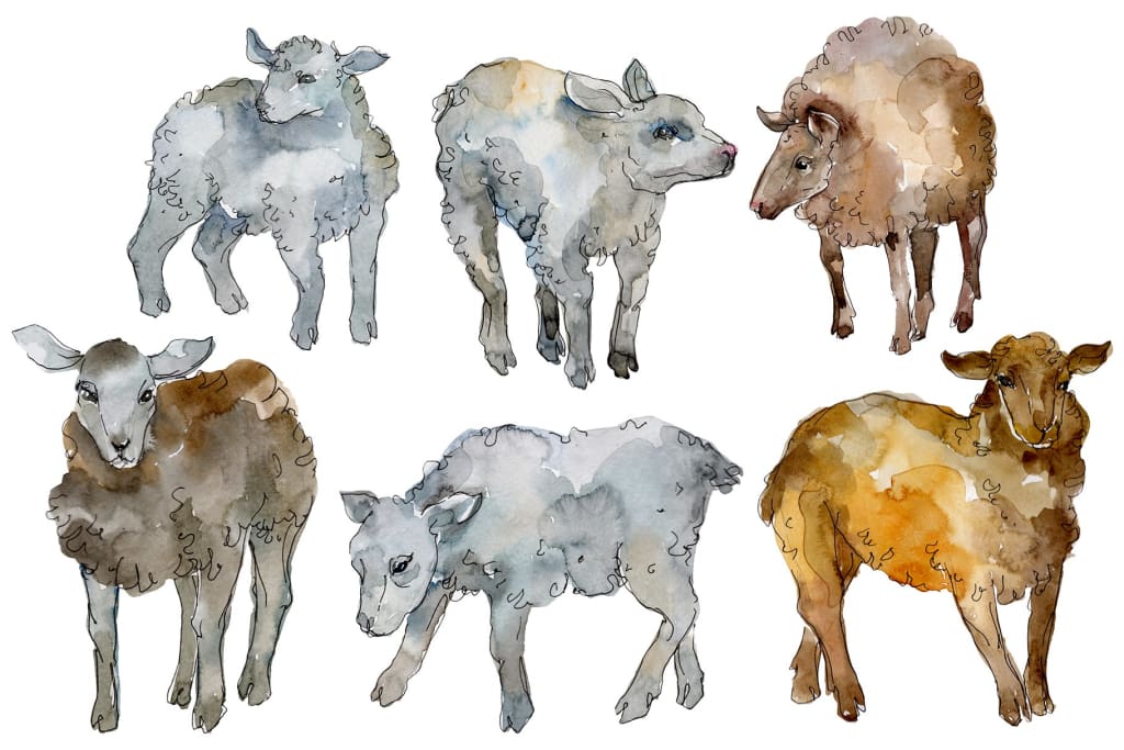 Farm animals: lamb Watercolor png Flower