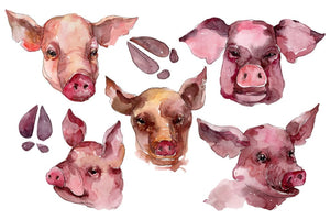 Farm animals: pig head Watercolor png Flower