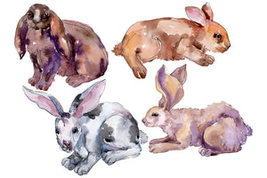 Farm animals: rabbit Watercolor png Flower