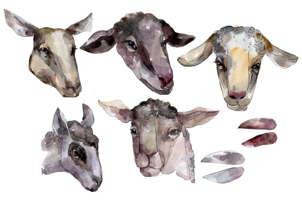 Farm animals: Ram head Watercolor png Flower