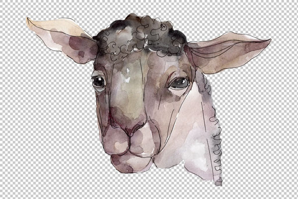 Farm animals: Ram head Watercolor png Flower
