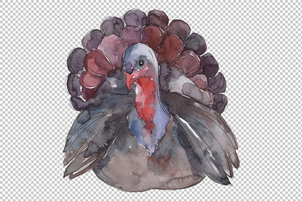 Farm animals: Turkey Watercolor png Flower