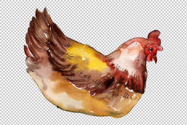 Farm animals:hen Watercolor png Flower