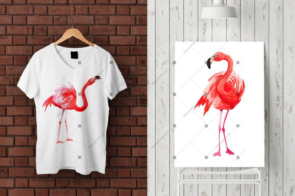 Flamingo Fashion Watercolor Png Set Digital