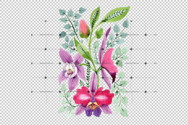 Floral Ornament Of Orchid Flowers Png Set Flower