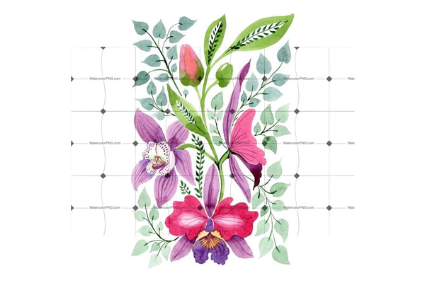Floral Ornament Of Orchid Flowers Png Set Flower