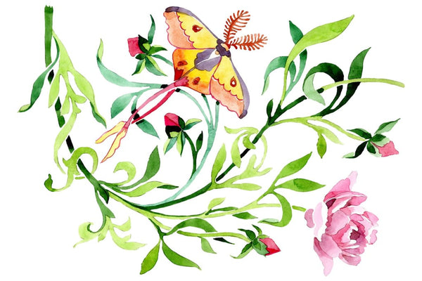 Floral ornament watercolor png Flower