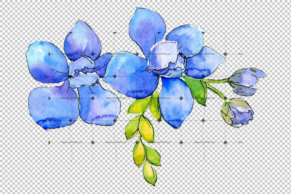 Flower Composition Png Watercolor Set Flower