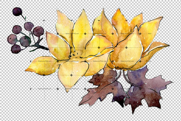 Flower Composition Png Watercolor Set Flower