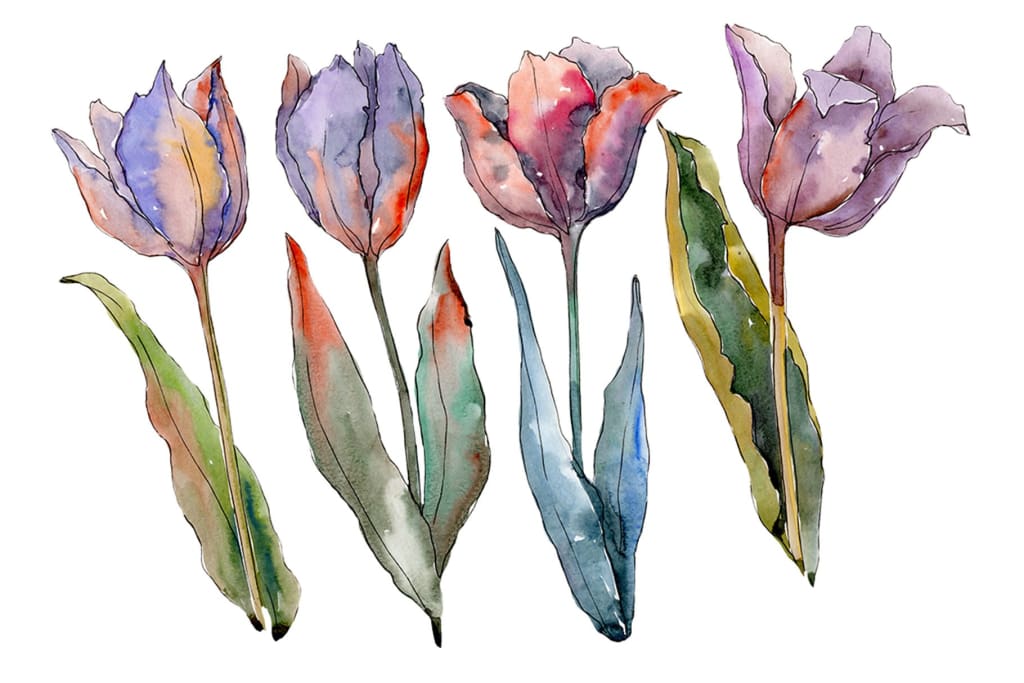 Flowers tulips fiery hello watercolor png Flower