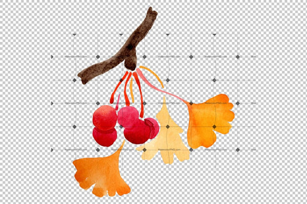 Ginkgo Biloba Watercolor Png Flower