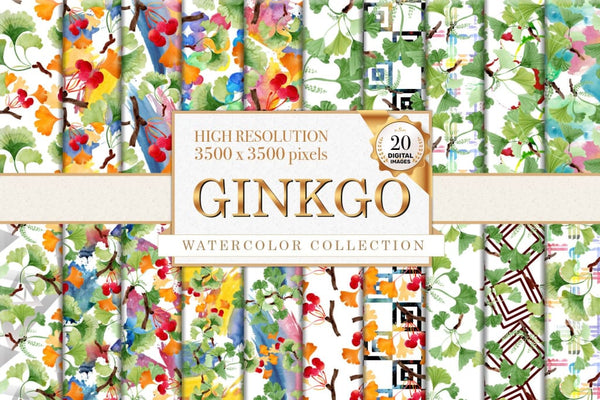 Ginkgo Watercolor png Digital