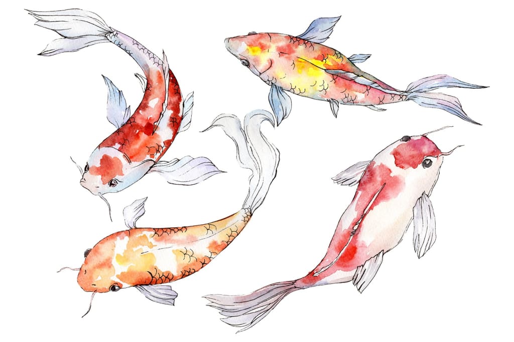 Goldfish-2 Watercolor png Flower