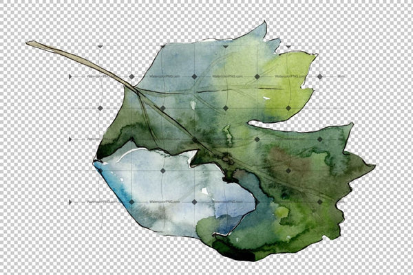 Gooseberry Png Watercolor Plant Set Digital