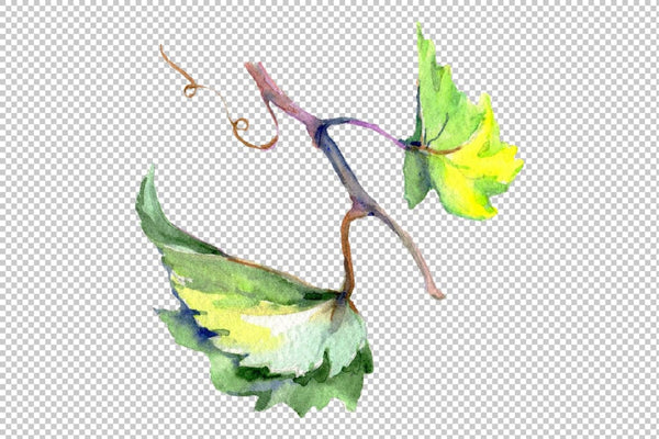 Grapes Watercolor png Flower