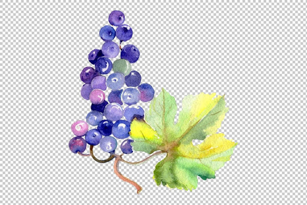 Grapes Watercolor png Flower