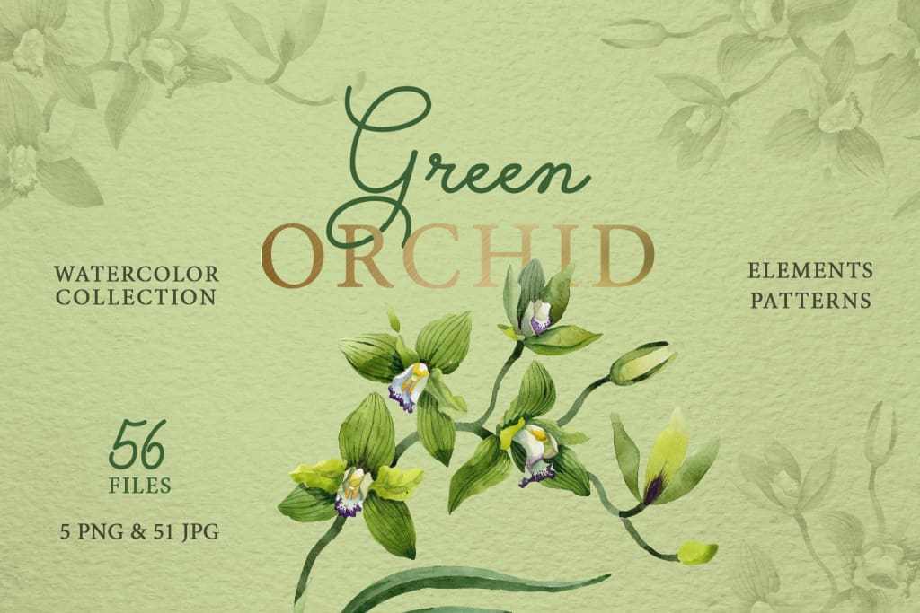 Green Orchid Watercolor png Digital