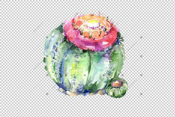 Green Tropical Cactuses Png Watercolor Set Digital