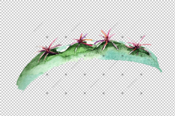 Green Tropical Cactuses Png Watercolor Set Digital