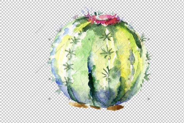 Green Tropical Cactuses Png Watercolor Set Digital