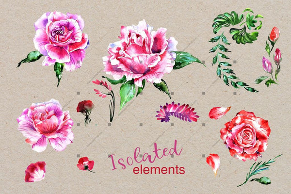 Holiday Pink Roses Png Watercolor Set Digital