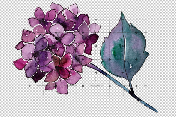 Hydrangea Purple And Blue Png Watercolor Set Flower