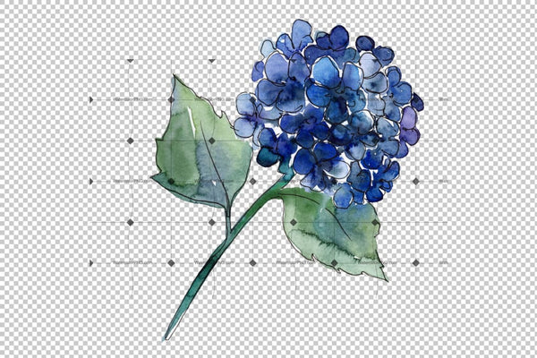 Hydrangea Purple And Blue Png Watercolor Set Flower