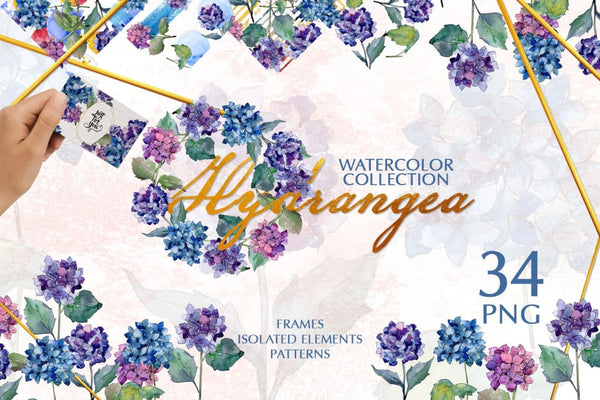 Hydrangea Watercolor png Digital