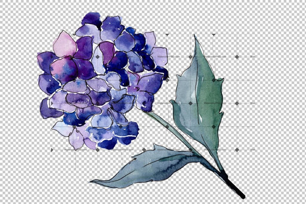Hydrangeas Flowers Png Watercolor Set Flower