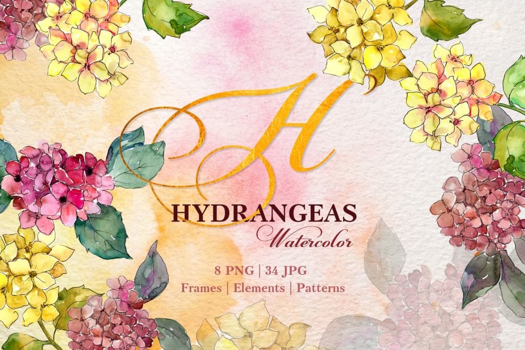 Hydrangeas Yellow-pink Watercolor png Digital