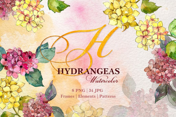 Hydrangeas Yellow-pink Watercolor png Digital