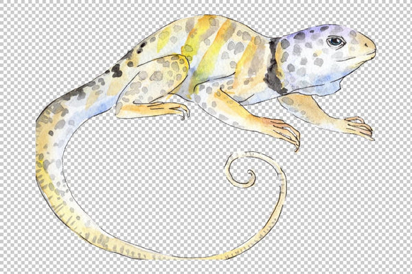Iguana-1 Watercolor png Flower