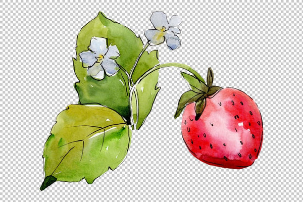 Juicy strawberry watercolor png Flower