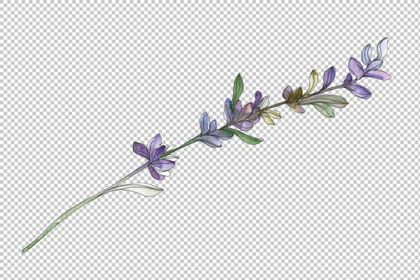 Lavender Watercolor png Flower