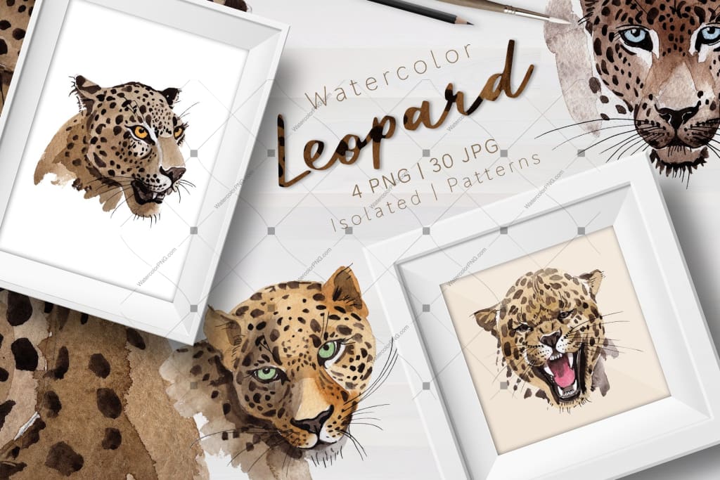 Leopard Png Watercolor Set Digital