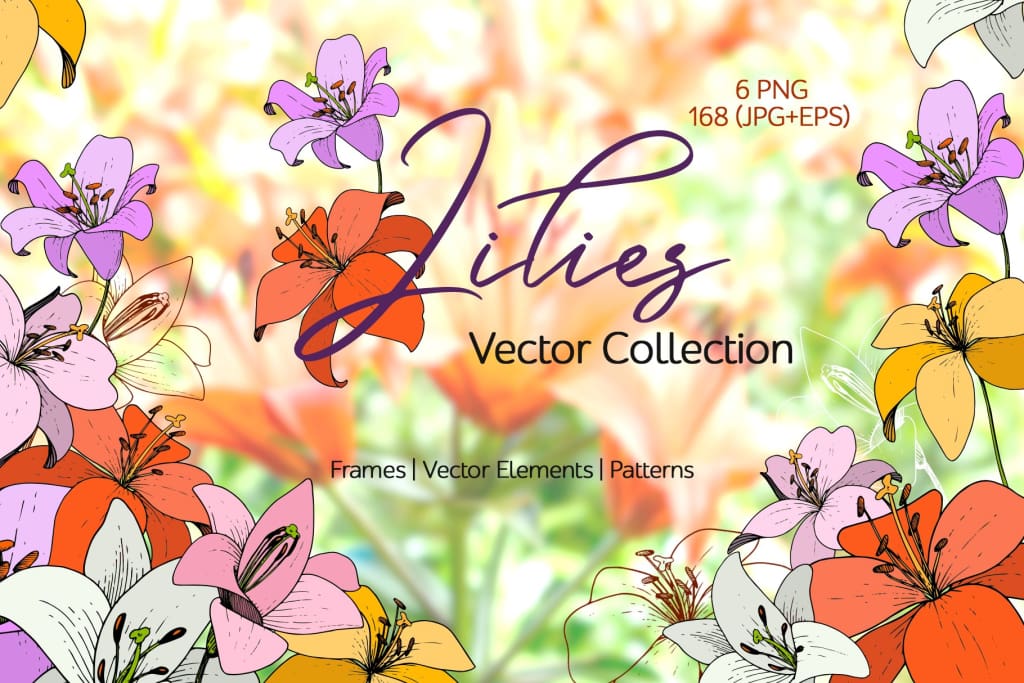 Lilies Vector Collection Digital